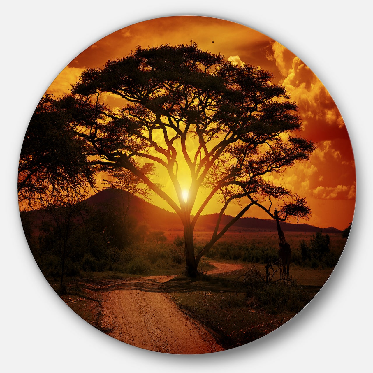 Designart - African Sunset with Lonely Tree' African Landscape Metal Circle Wall Art